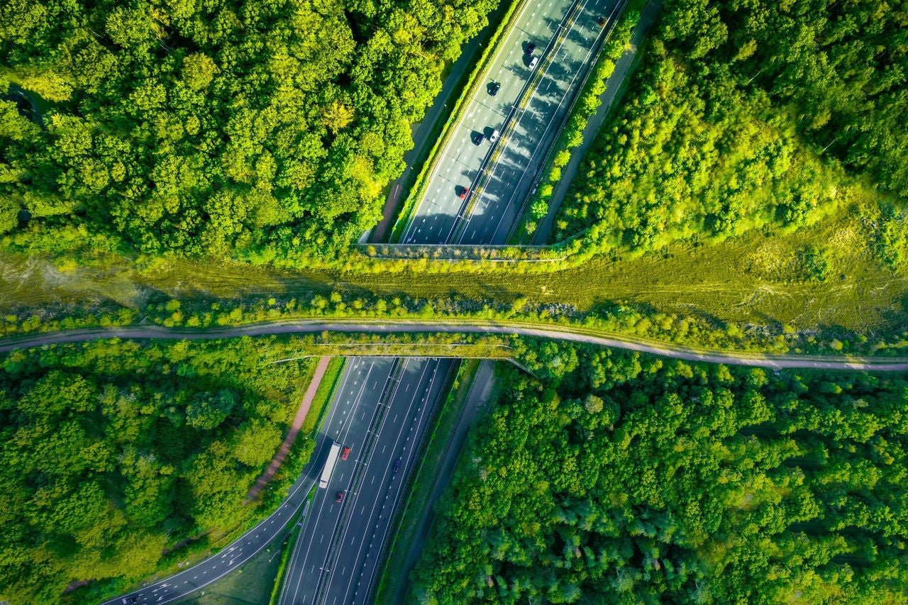 Aerial view of a green bridge ecoduct for fauna crossing above highway
